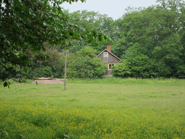 Sulajma 2011-2 037.JPG