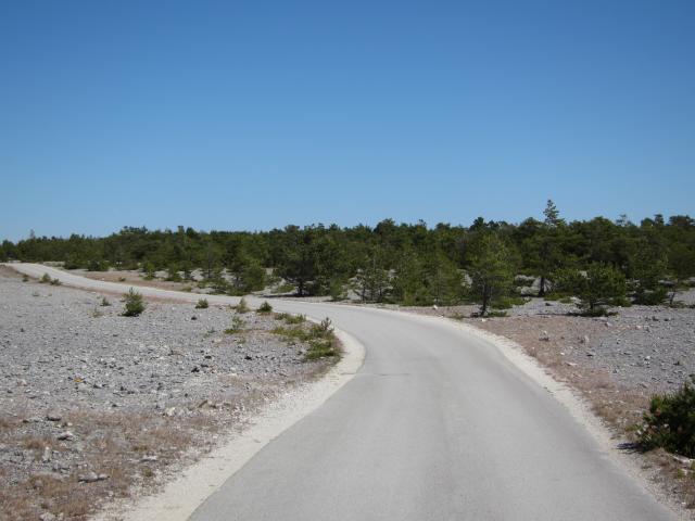 Sulajma 3 2011 011.JPG