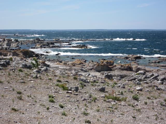 Sulajma 3 2011 012.JPG