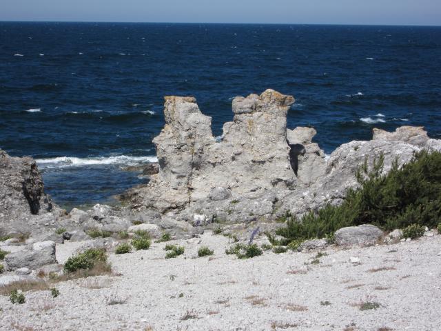 Sulajma 3 2011 013.JPG