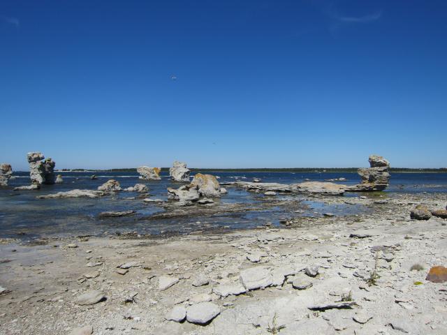Sulajma 3 2011 015.JPG