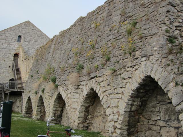 Sulajma 3 2011 024.JPG