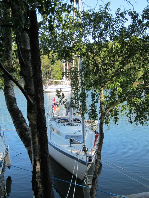 Sulajma 5 2011 009.JPG