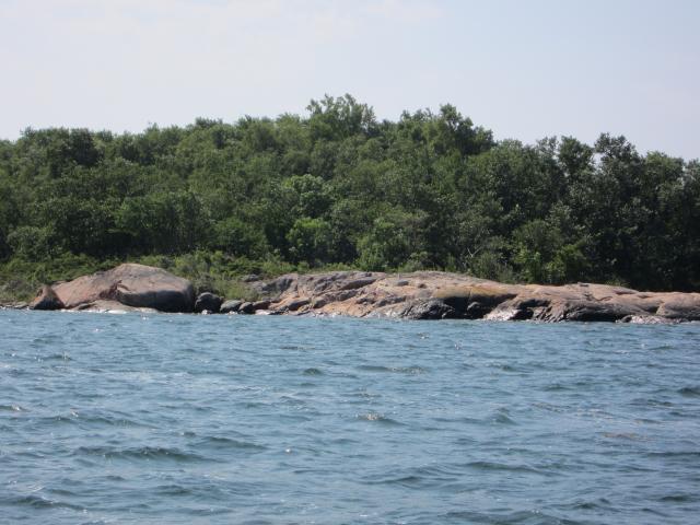 Sulajma 6 2011 008.JPG
