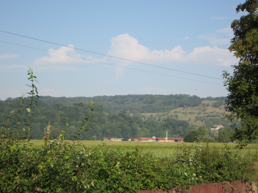 20130909-143643.jpg
