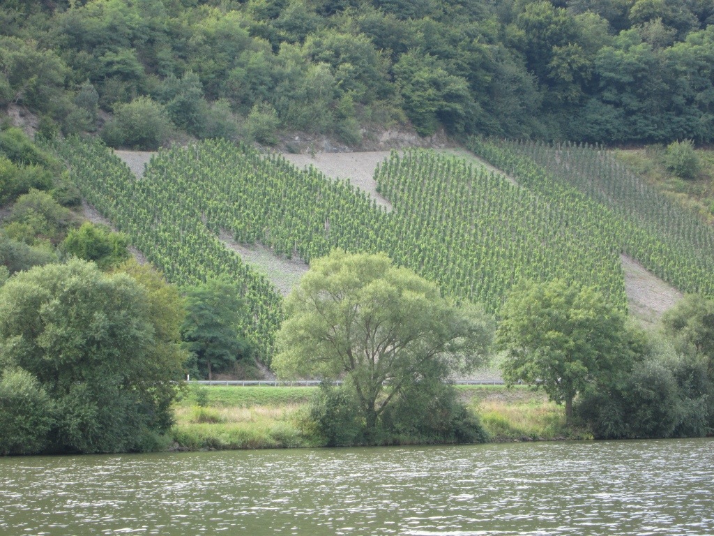 20130909-152450.jpg