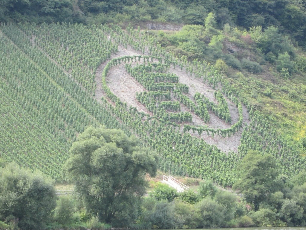 20130909-152604.jpg
