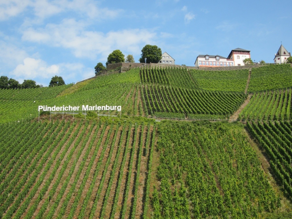 20130909-153413.jpg